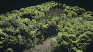 Ergebnis der Befliegung eines Waldes mit einer Multikopter-Drohne aus 100m Höhe